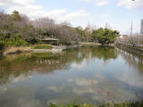 園内の池