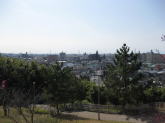 千旬塚公園から見たまちの景色