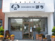 DOG HOUSE ぽち