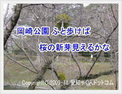 岡崎公園の桜の息吹です。